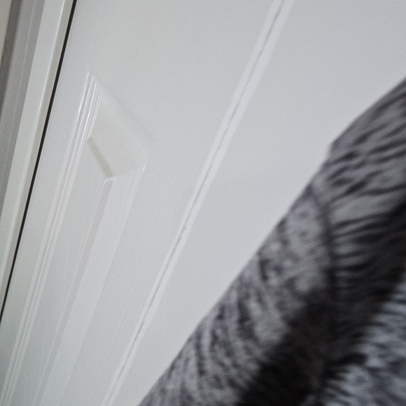 Made for Life Heathered Gray and Black Jacket - Picture 4 of 5